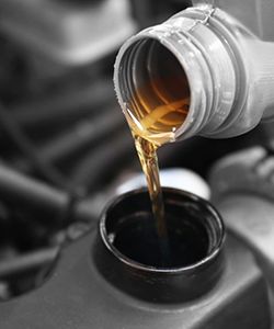 Oil, fluids, filters